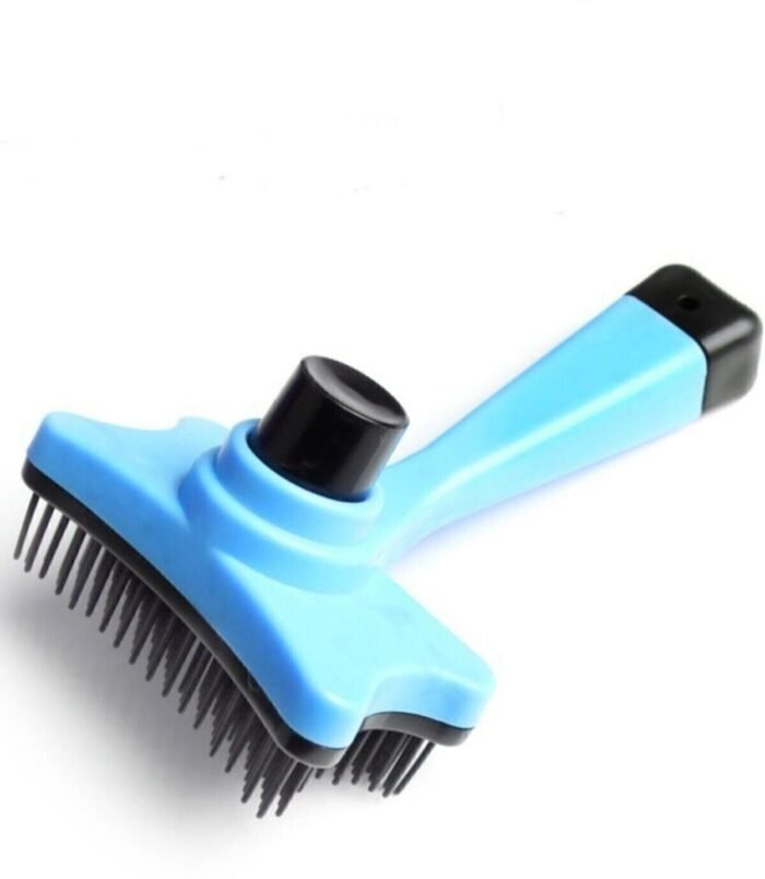 1_org_zoom-1012.jpg 1_org_zoom-1012.jpg