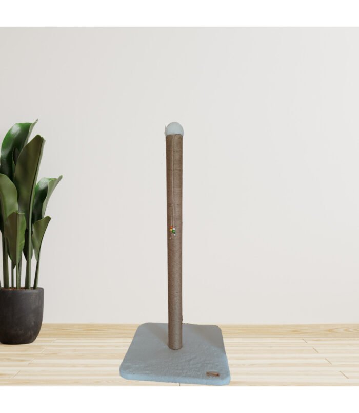 1_org_zoom-1019.jpg 1_org_zoom-1019.jpg