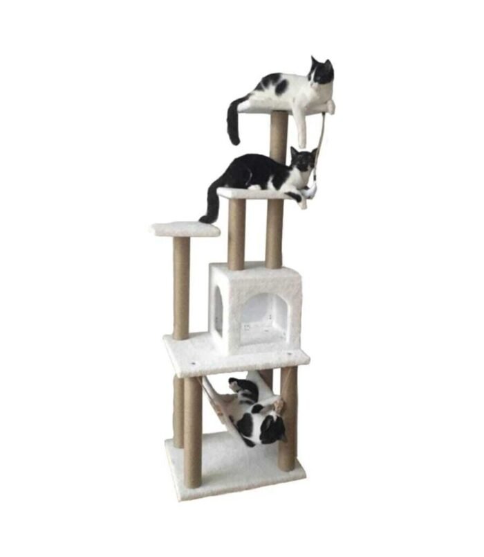 1_org_zoom-1032.jpg 1_org_zoom-1032.jpg