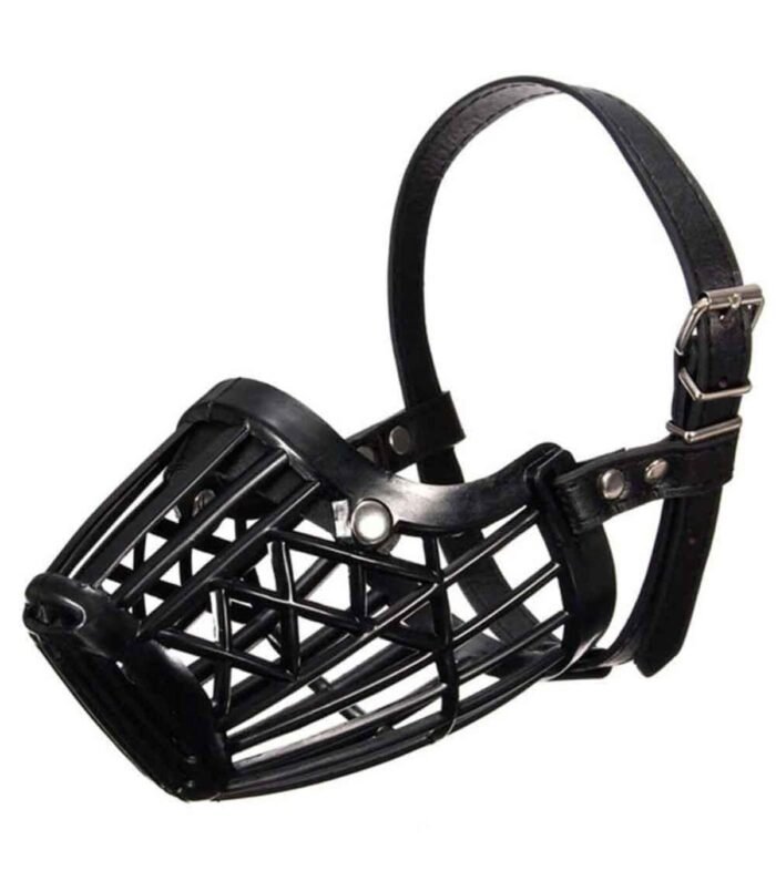 1_org_zoom-1075.jpg 1_org_zoom-1075.jpg