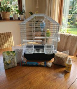 Muhabbet Kuşu Kafesi Süper Full Set - Yem, Tül, Vitamin ve Tüm Aksesuarlar Dahil Başlangıç Paketi