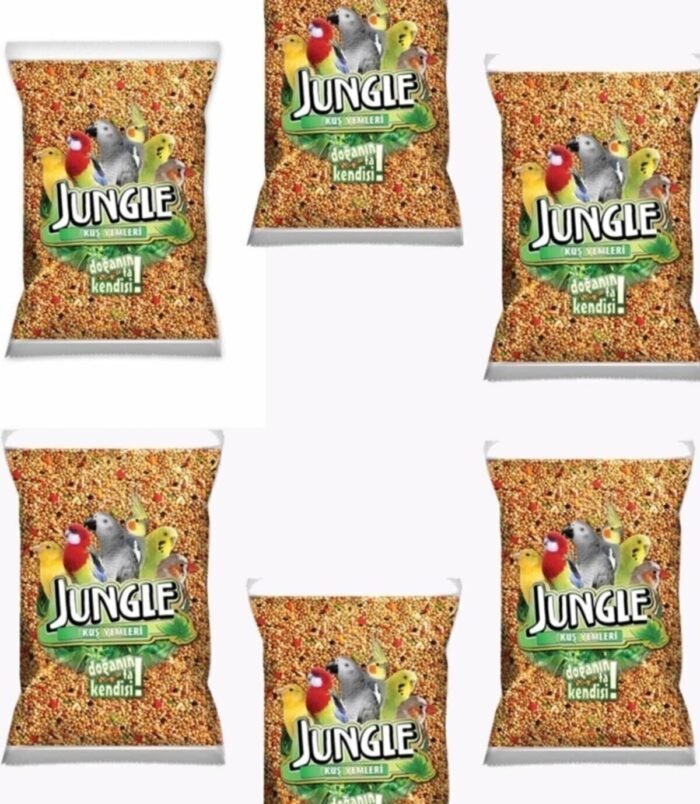 1_org_zoom-1100.jpg 1_org_zoom-1100.jpg