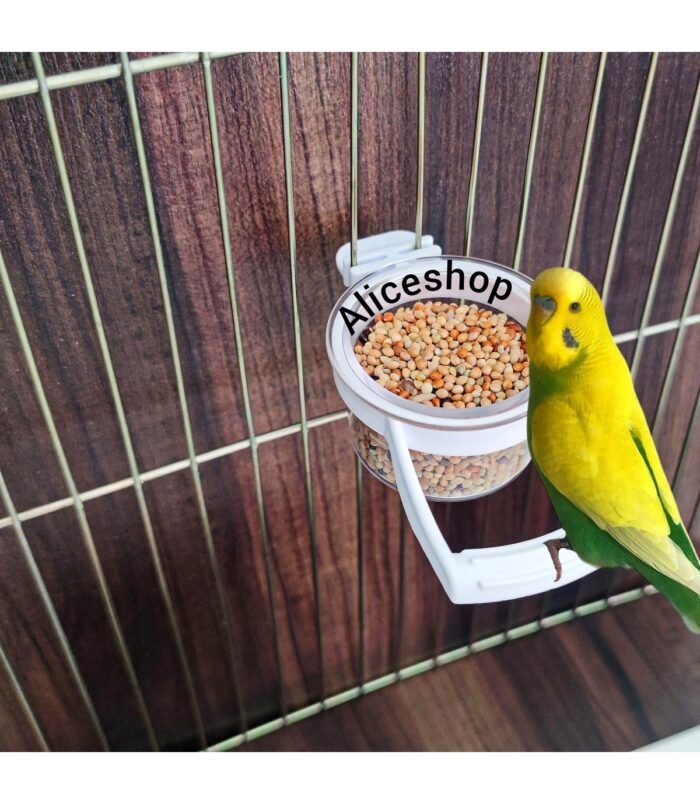 1_org_zoom-111.jpg 1_org_zoom-111.jpg