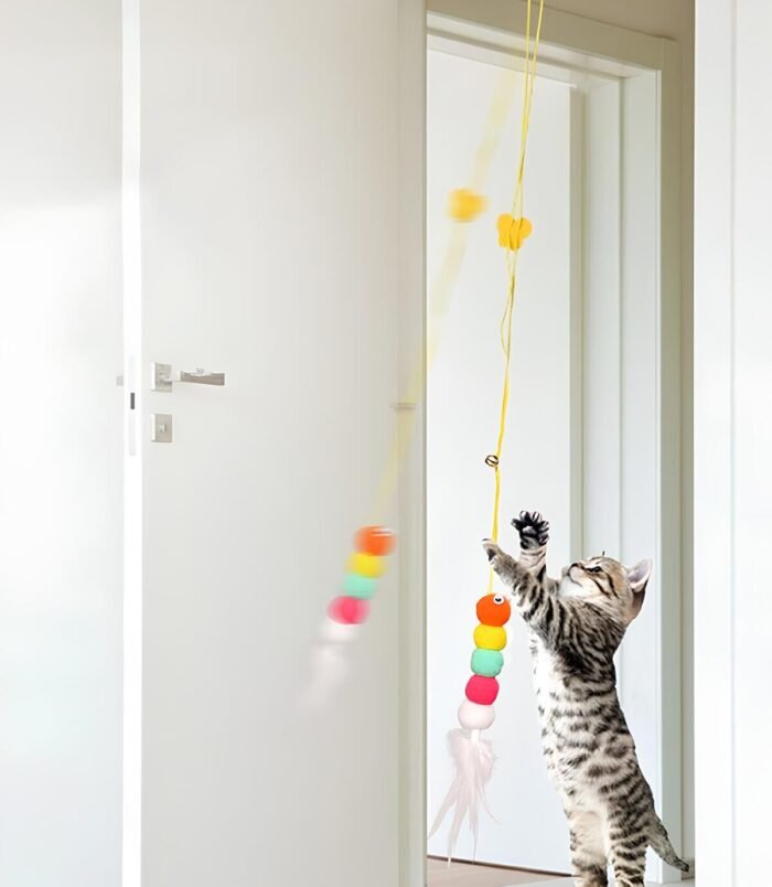 1_org_zoom-123.jpg 1_org_zoom-123.jpg