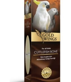 Premium Mürekkep Balığı Kalamar Kemiği Büyük Boy