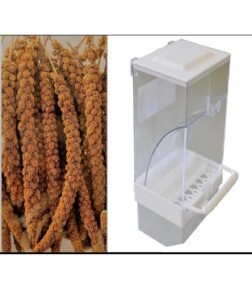 Kuşlar için akıllı yemlik ve 250 gram kızıl dal darı