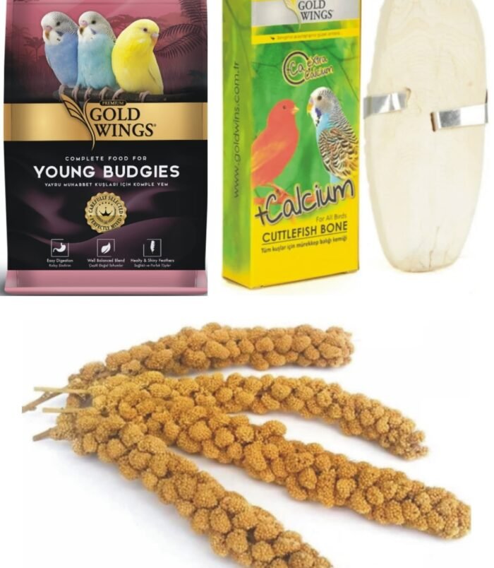 1_org_zoom-402.jpg 1_org_zoom-402.jpg