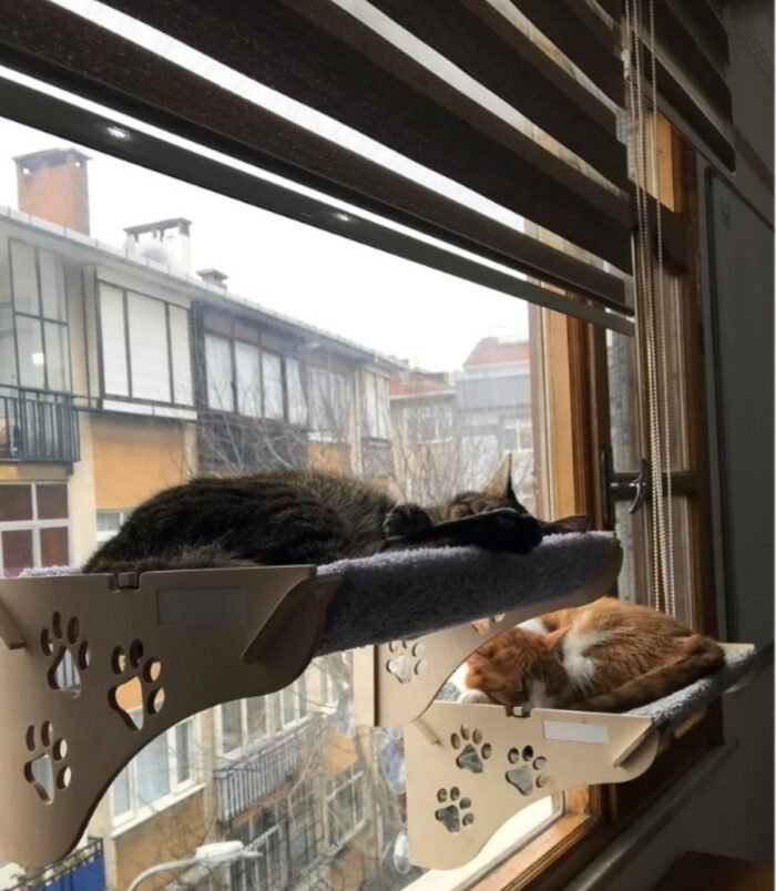 1_org_zoom-44.jpg 1_org_zoom-44.jpg