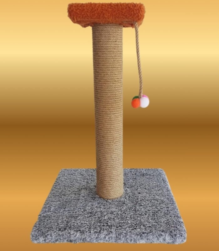 1_org_zoom-63.jpg 1_org_zoom-63.jpg