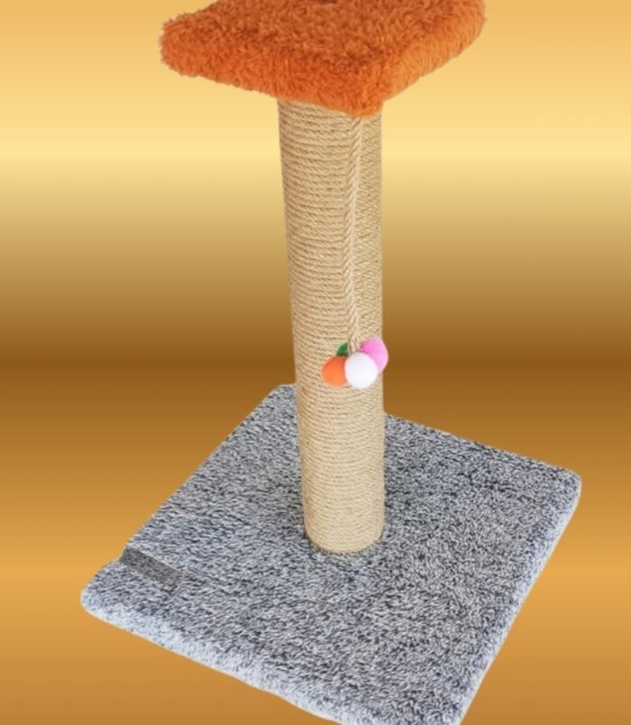 1_org_zoom-64.jpg 1_org_zoom-64.jpg