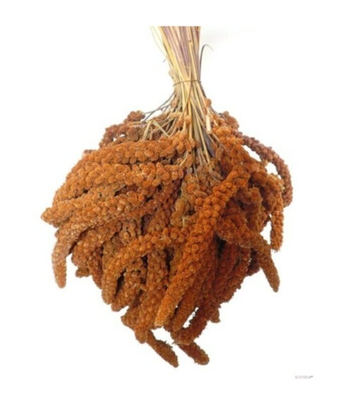 1_org_zoom-750.jpg 1_org_zoom-750.jpg