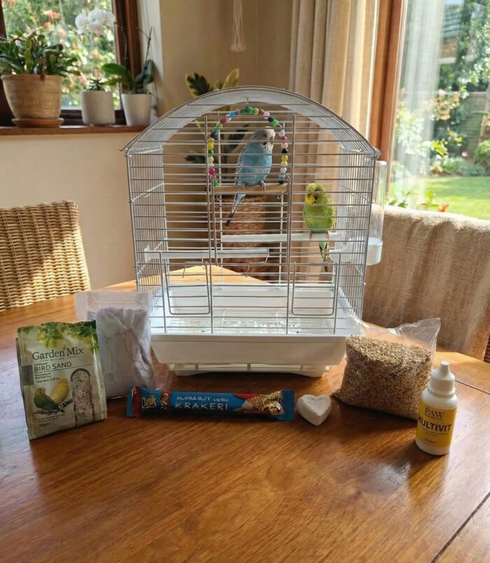 1_org_zoom-8.jpg 1_org_zoom-8.jpg