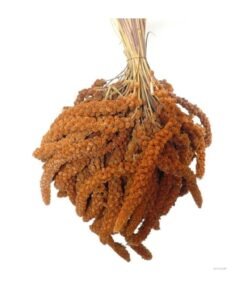 Kuşlar Için Kızıl Dal Darı - 1 kg