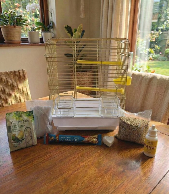 1_org_zoom-9.jpg 1_org_zoom-9.jpg