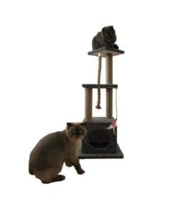 Kedi Tırmalama Evi Ve Oyun Platformu