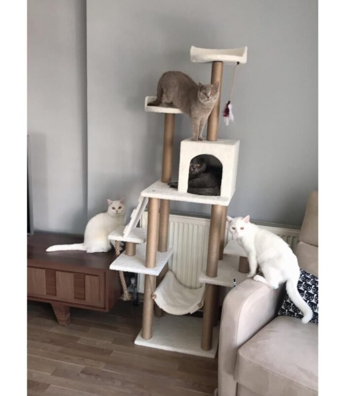 1_org_zoom-918.jpg 1_org_zoom-918.jpg