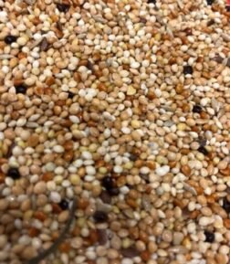 Kafes Kuşu Yemi 1kg