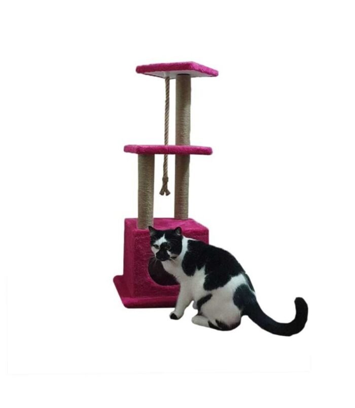 1_org_zoom-950.jpg 1_org_zoom-950.jpg