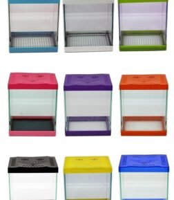 HAN DİSCUS AKVARYUM Renkli Mini Akvaryum 23x20x14,5 Cm