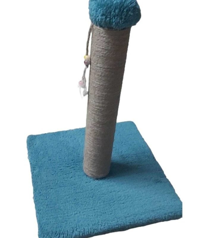 2_org_zoom-15.jpg 2_org_zoom-15.jpg