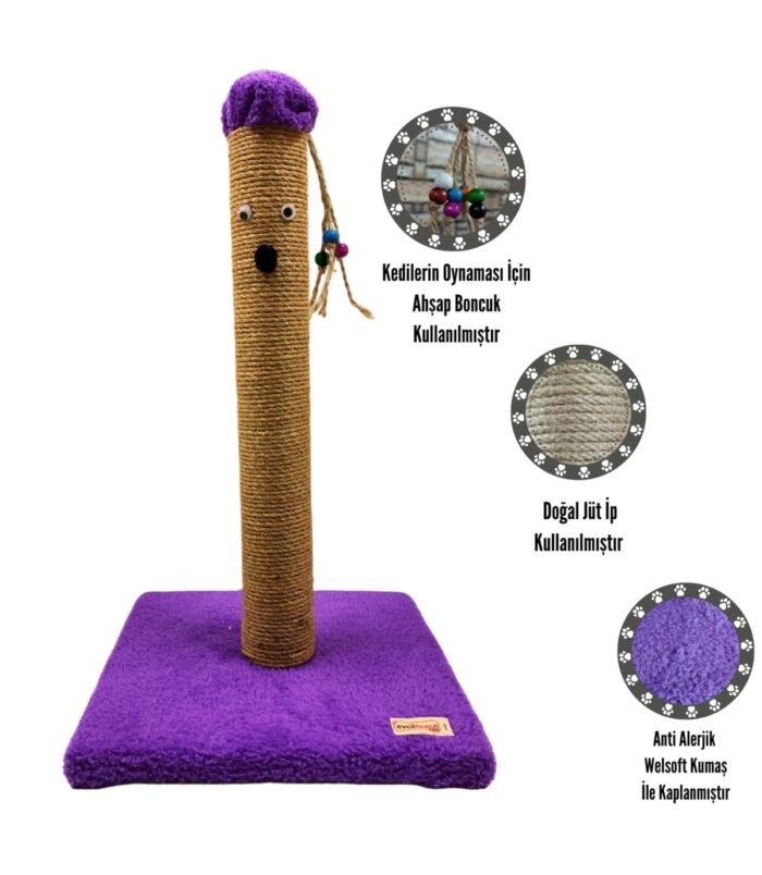 2_org_zoom-2.jpg 2_org_zoom-2.jpg