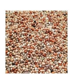 Karışık Muhabbet Kuşu Yemi 1 Kg Kanatlı Kuş Yem