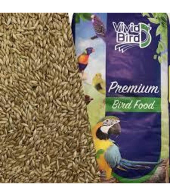 2_org_zoom-65.jpg 2_org_zoom-65.jpg