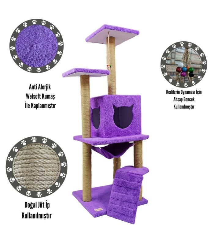 2_org_zoom-70.jpg 2_org_zoom-70.jpg