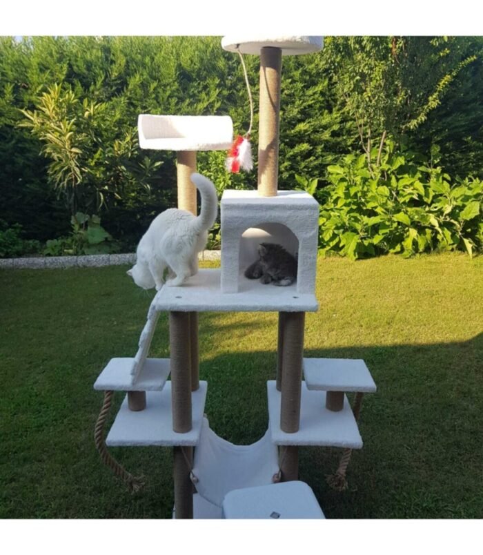 2_org_zoom-74.jpg 2_org_zoom-74.jpg