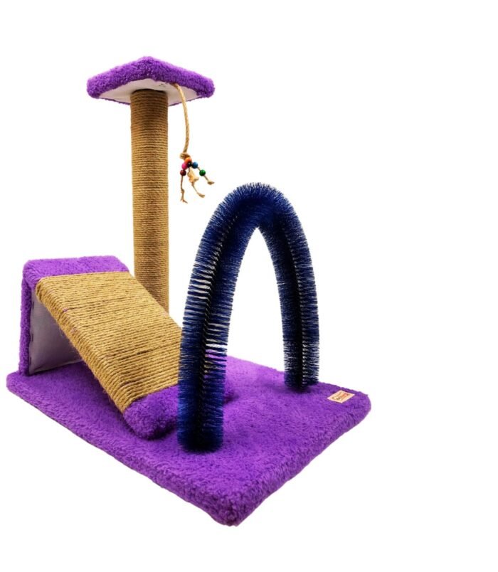 2_org_zoom-8.jpg 2_org_zoom-8.jpg