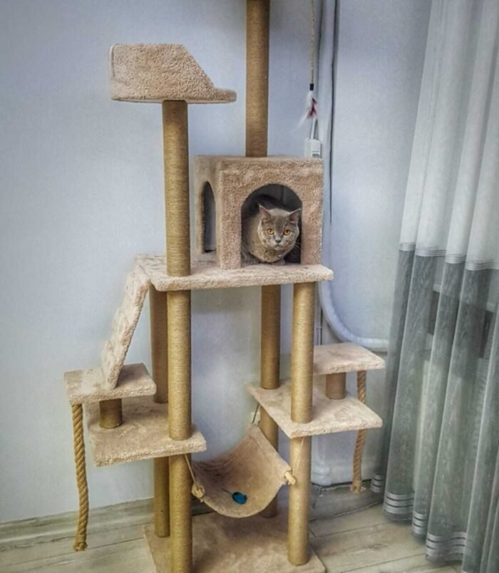 2_org_zoom-83.jpg 2_org_zoom-83.jpg