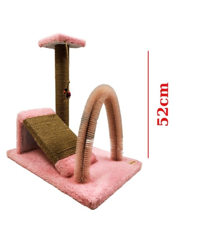 3_org_zoom-10.jpg 3_org_zoom-10.jpg