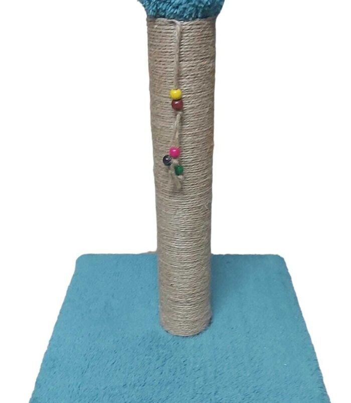 3_org_zoom-13.jpg 3_org_zoom-13.jpg