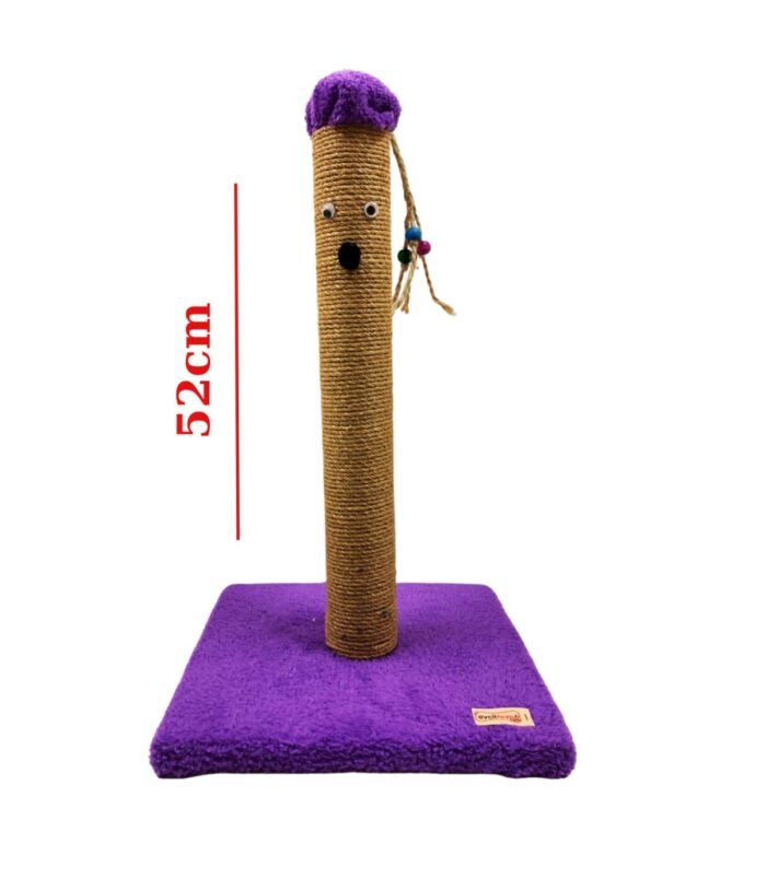 3_org_zoom-2.jpg 3_org_zoom-2.jpg