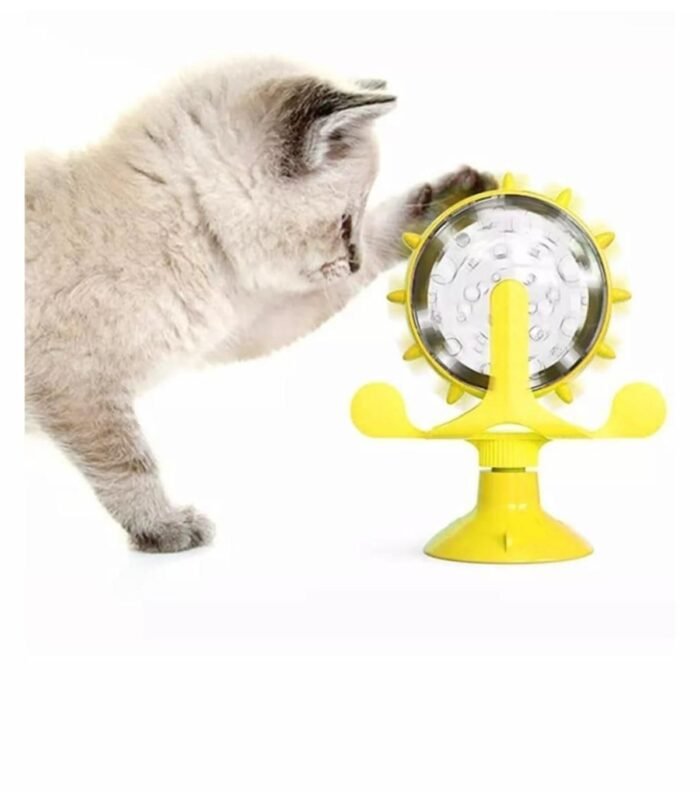 3_org_zoom-25.jpg 3_org_zoom-25.jpg