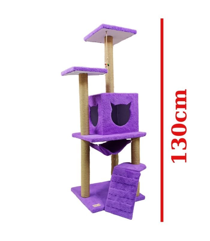 3_org_zoom-48.jpg 3_org_zoom-48.jpg