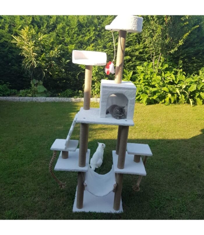 3_org_zoom-49.jpg 3_org_zoom-49.jpg