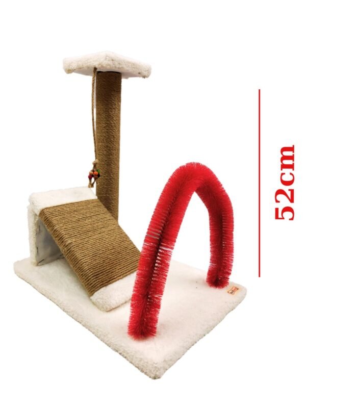 3_org_zoom-9.jpg 3_org_zoom-9.jpg