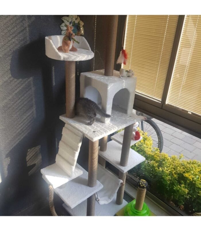 4_org_zoom-12.jpg 4_org_zoom-12.jpg