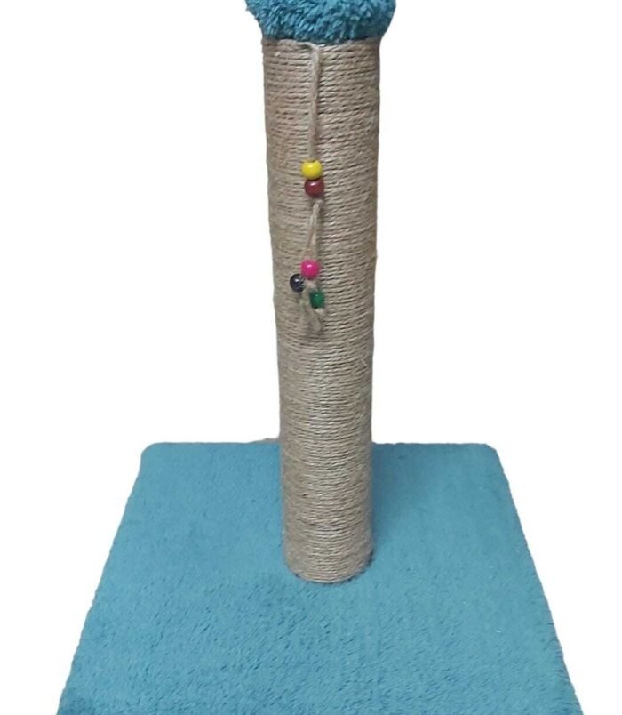 5_org_zoom.jpg 5_org_zoom.jpg